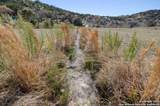 281 Roaring Springs - Photo 46