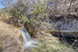 281 Roaring Springs - Photo 53