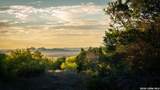 424 Hulda Trail - Photo 9