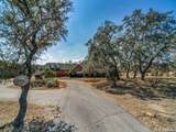 206 Mesquite Trl - Photo 24