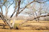 320 County Road 341 - Photo 44