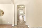 444 Quarter Mare - Photo 9