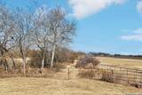 14319 Old Frio City - Photo 11
