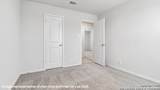 186 Lucy Landing - Photo 27