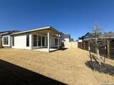 431 Alexander - Photo 35