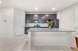 3350 Rancho Grande - Photo 12