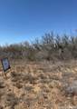 254 Frio Estates Dr - Photo 3