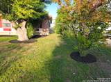 642 Palm - Photo 5