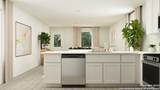 4961 Winecup Cove - Photo 12