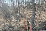 TBD Ess Rd - Photo 4