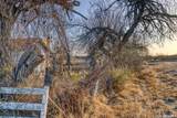 214 Cox Lane - Photo 9