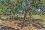 740 Sharp Springs - Photo 79