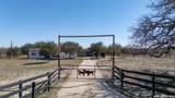 175 Ranch Country - Photo 39