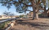 2233 Hoja Ave - Photo 41
