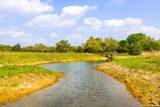TBD 73 Acres County Rd 442 - Photo 6