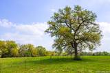 TBD 73 Acres County Rd 442 - Photo 9