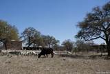 2951 Fall Creek Rd - Photo 34
