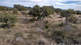 00000 Little Dry Frio Rd - Photo 5