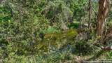 606 Deer Lake Cove - Photo 35