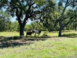 222 State Highway 46 E - Photo 100