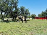 222 State Highway 46 E - Photo 101