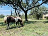 222 State Highway 46 E - Photo 102