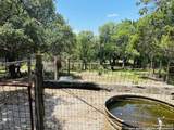 222 State Highway 46 E - Photo 105