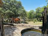 222 State Highway 46 E - Photo 106