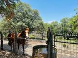 222 State Highway 46 E - Photo 107