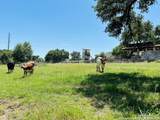 222 State Highway 46 E - Photo 116