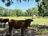 222 State Highway 46 E - Photo 99
