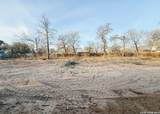 48 Grey Fox - Photo 52