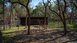 2444 Purgatory - Photo 5
