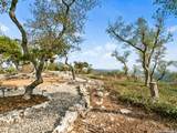 1191 Saddleback Ridge - Photo 85