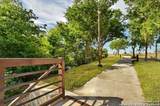11812 Luckey Villa - Photo 23