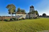11812 Luckey Villa - Photo 3