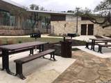 31846 Acacia Vista - Photo 49
