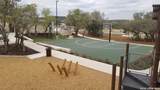31846 Acacia Vista - Photo 52