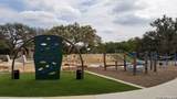 31846 Acacia Vista - Photo 57