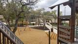 31846 Acacia Vista - Photo 59