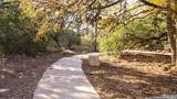 31846 Acacia Vista - Photo 64
