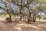 585 English Hollow - Photo 50