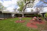 1013 Hutchinson - Photo 2
