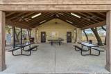 8206 Claret Cup - Photo 48