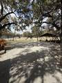 809 Lookout - Photo 20