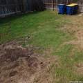 303 Sulphur Springs - Photo 27