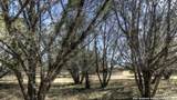 22 Squirrel Bend - Photo 13