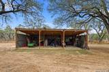 561 County Road 785 - Photo 45