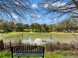 7 Lazy Hollow - Photo 73