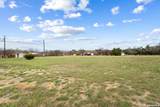 175 Pine Tree - Photo 10